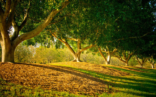 510389 (a): :2560x1600